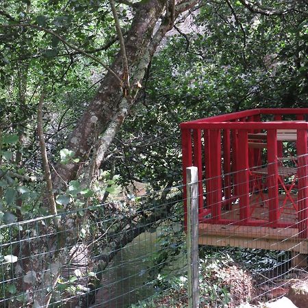 バイアン Casa Da Azenhaヴィラ エクステリア 写真